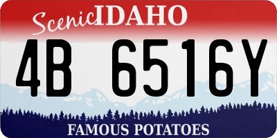 ID license plate 4B6516Y