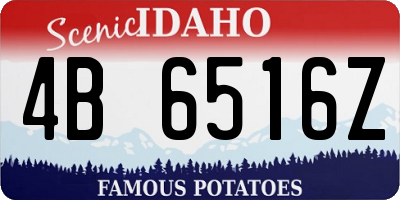 ID license plate 4B6516Z