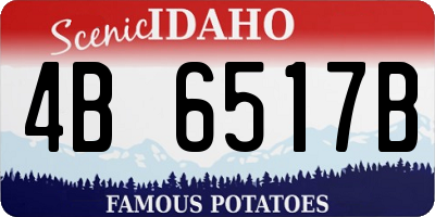 ID license plate 4B6517B