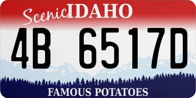 ID license plate 4B6517D