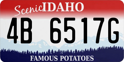 ID license plate 4B6517G