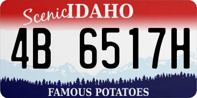 ID license plate 4B6517H