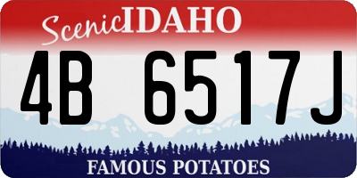 ID license plate 4B6517J