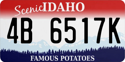 ID license plate 4B6517K