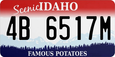 ID license plate 4B6517M
