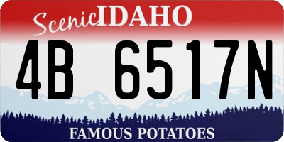 ID license plate 4B6517N