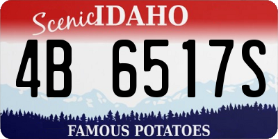 ID license plate 4B6517S