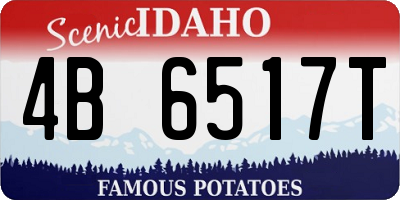 ID license plate 4B6517T