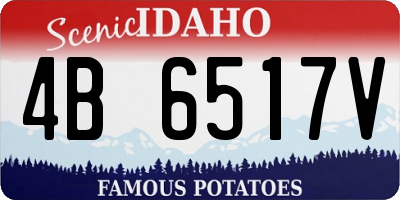 ID license plate 4B6517V