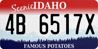 ID license plate 4B6517X