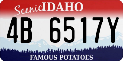 ID license plate 4B6517Y