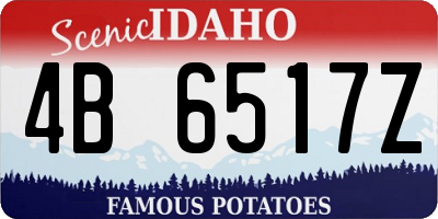 ID license plate 4B6517Z