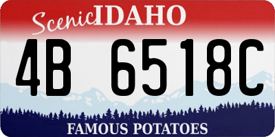ID license plate 4B6518C