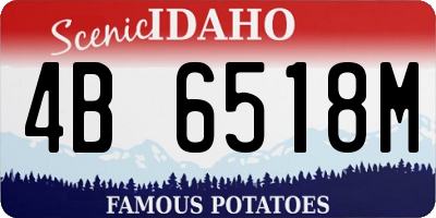 ID license plate 4B6518M