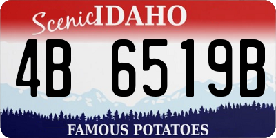 ID license plate 4B6519B