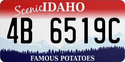 ID license plate 4B6519C