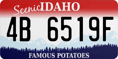 ID license plate 4B6519F