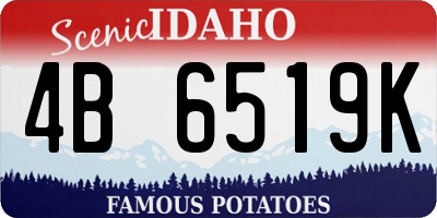 ID license plate 4B6519K