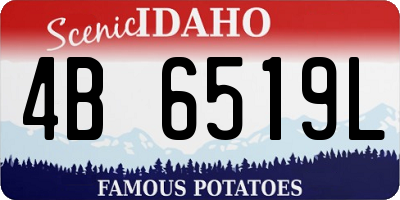 ID license plate 4B6519L