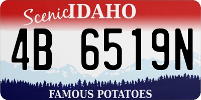 ID license plate 4B6519N