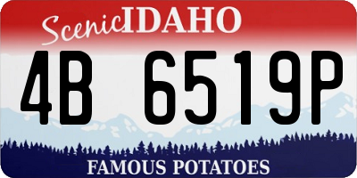 ID license plate 4B6519P
