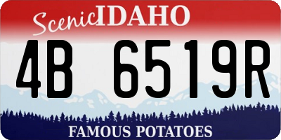ID license plate 4B6519R