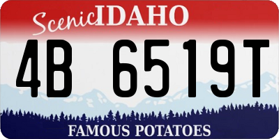 ID license plate 4B6519T