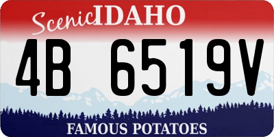 ID license plate 4B6519V