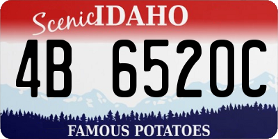 ID license plate 4B6520C