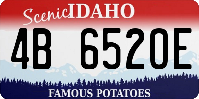 ID license plate 4B6520E