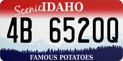 ID license plate 4B6520Q