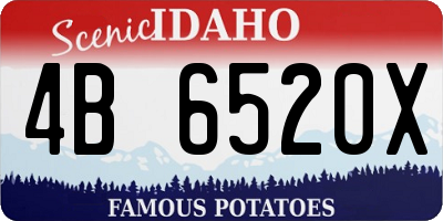 ID license plate 4B6520X