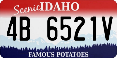 ID license plate 4B6521V
