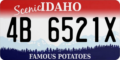 ID license plate 4B6521X