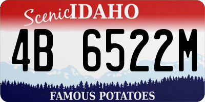 ID license plate 4B6522M