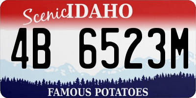 ID license plate 4B6523M