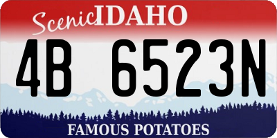 ID license plate 4B6523N
