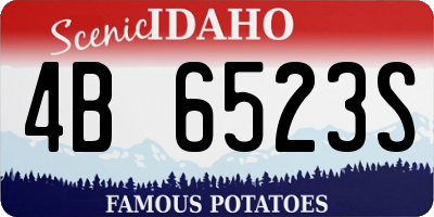 ID license plate 4B6523S
