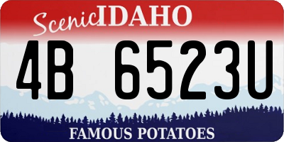 ID license plate 4B6523U