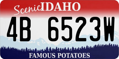 ID license plate 4B6523W