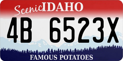 ID license plate 4B6523X