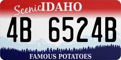 ID license plate 4B6524B