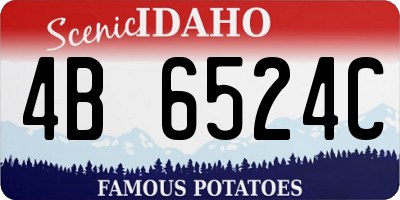 ID license plate 4B6524C