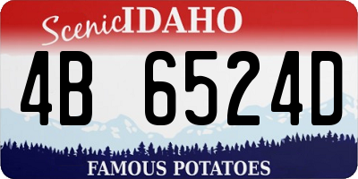 ID license plate 4B6524D