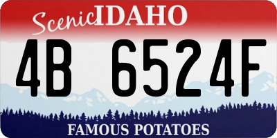 ID license plate 4B6524F
