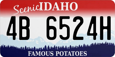 ID license plate 4B6524H
