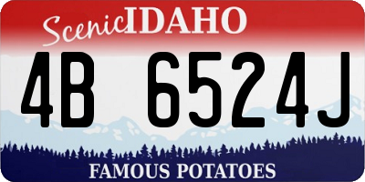 ID license plate 4B6524J