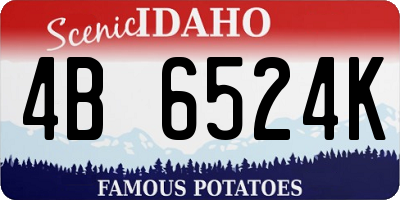 ID license plate 4B6524K