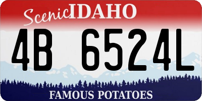 ID license plate 4B6524L