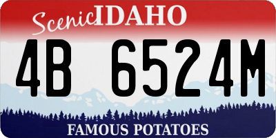 ID license plate 4B6524M